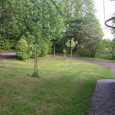 Le Lamier Jaune Trois-Ponts